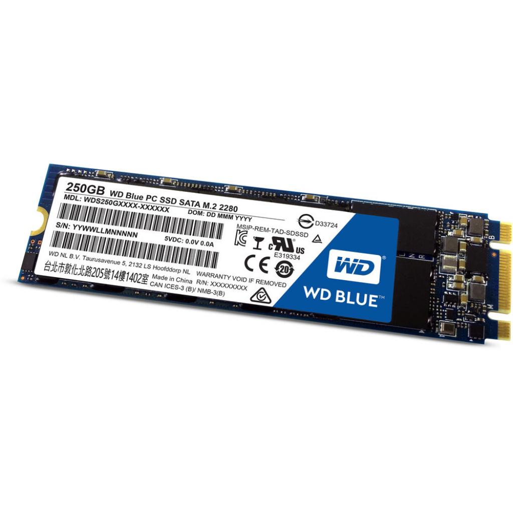 SSD WDS250G1B0B