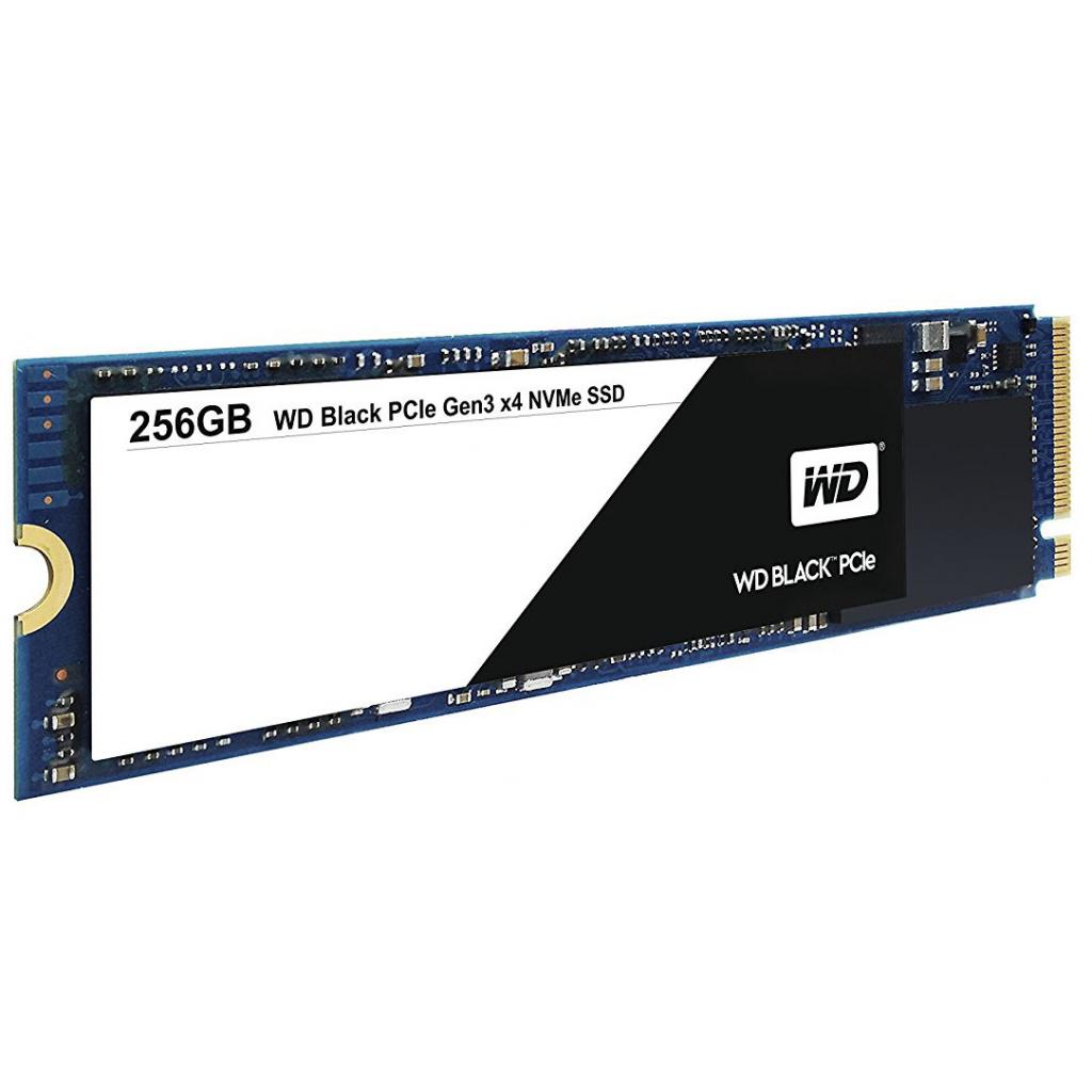 SSD WDS256G1X0C