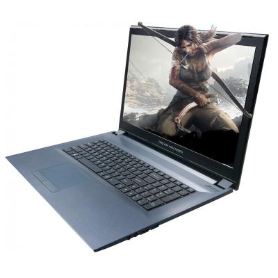 Ноутбук Dream Machines Clevo G1050-17 (G1050-17UA33)