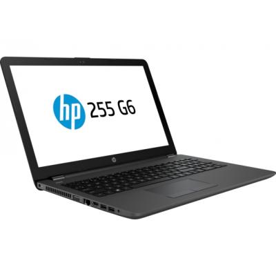 Ноутбук HP 255 G6 (1WY47EA)