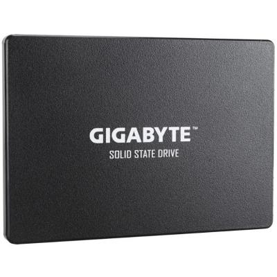 SSD GP-GSTFS31256GTND