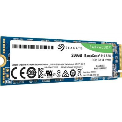 SSD ZP256CM30041