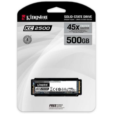 SSD SKC2500M8/500G