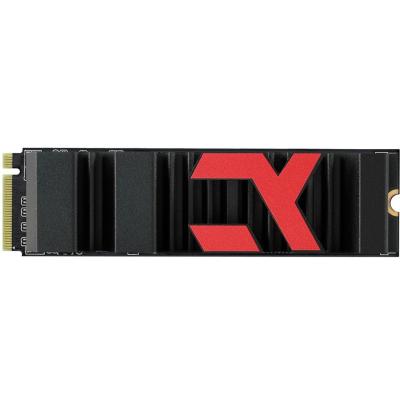 SSD IRX-SSDPR-P44X-500-80